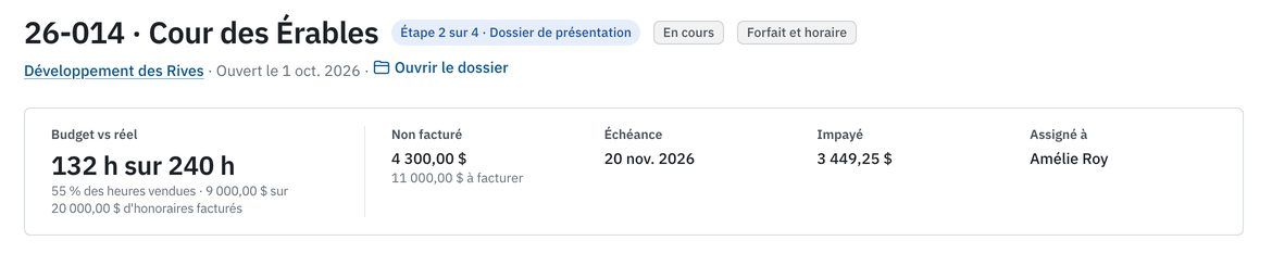 Fiche du projet fictif Cour des Érables : client, statut et montants à facturer.