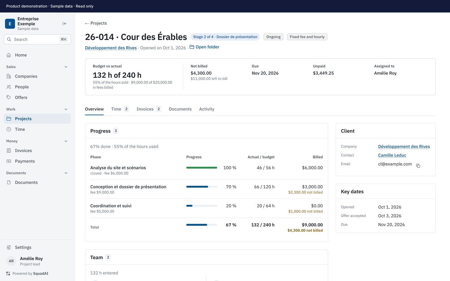 SquadAI interface showing a project and its business information, with fictional data.